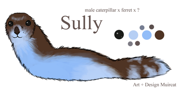 sully.png